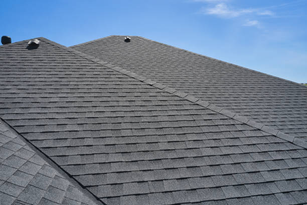 Best Skylight Installation and Repair  in Hayfield, VA